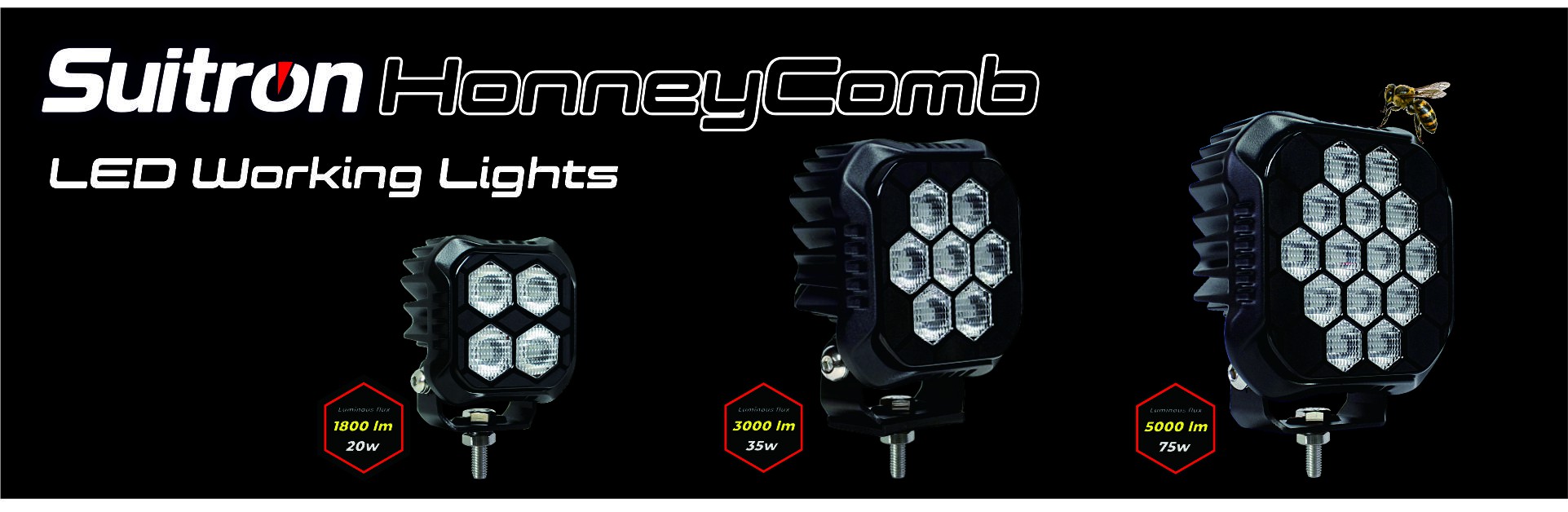 WORKING LIGHTS HONNEYCOMB